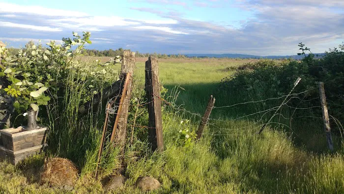 Tamarack Mobile Home Park Picture 3