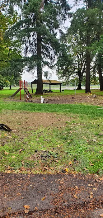 Scappoose RV Park Picture 6