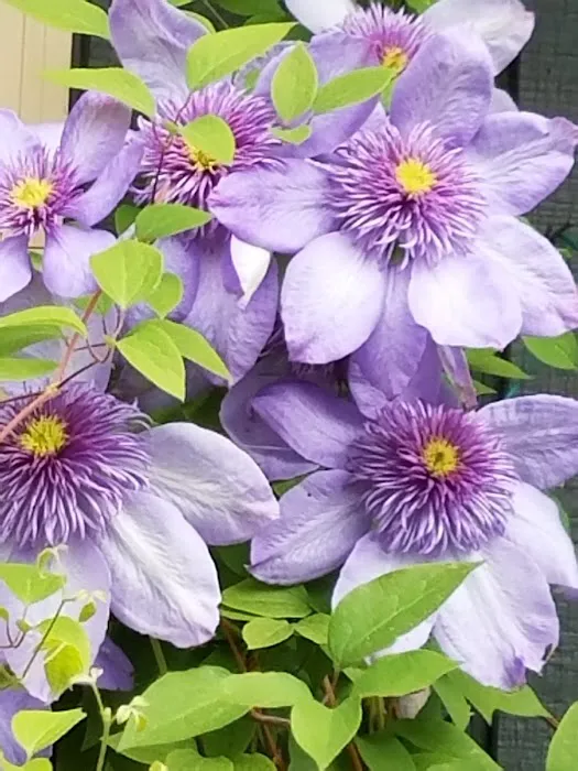 Mountain View Cooperative Picture 2