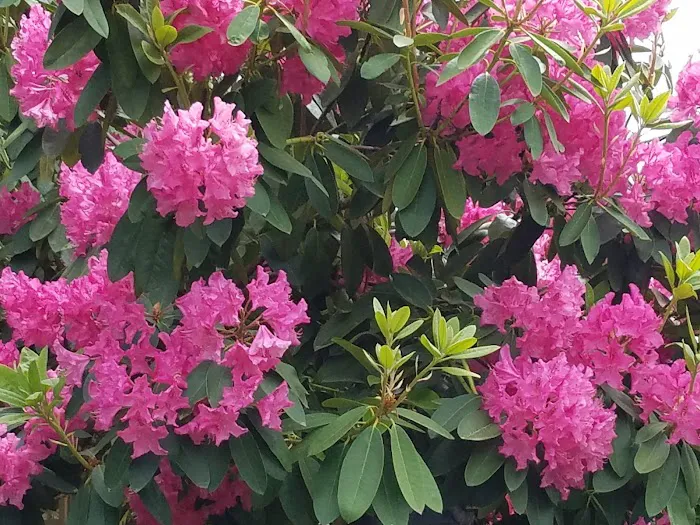 Mountain View Cooperative Picture 1