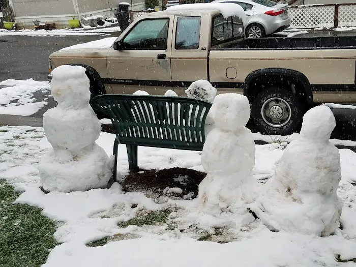 Mountain View Cooperative Picture 4