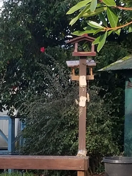 Mountain View Cooperative Picture 6