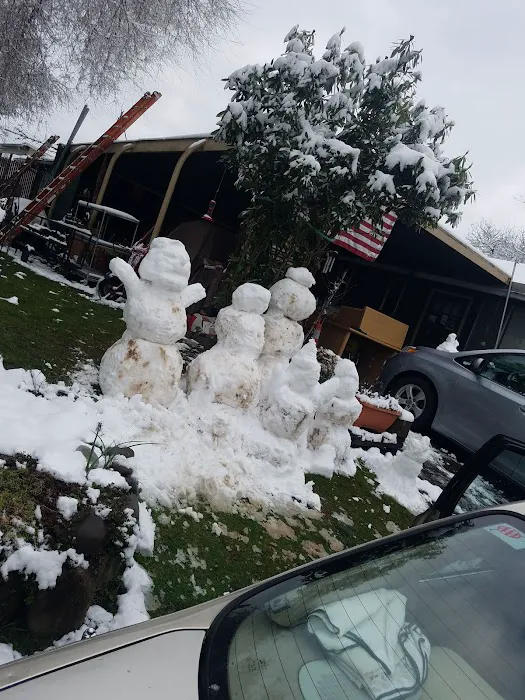 Mountain View Cooperative Picture 10