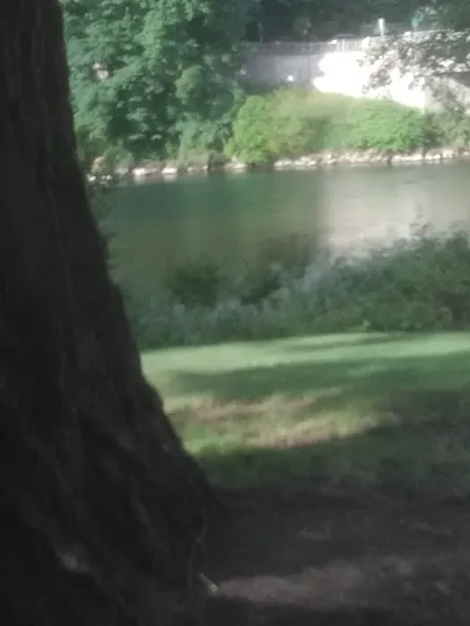 Carver Mobile Home Ranch Picture 1