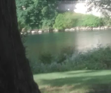 Carver Mobile Home Ranch