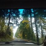 Sunrise Village Ridgewood