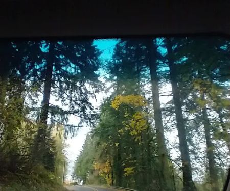 Sunrise Village Ridgewood