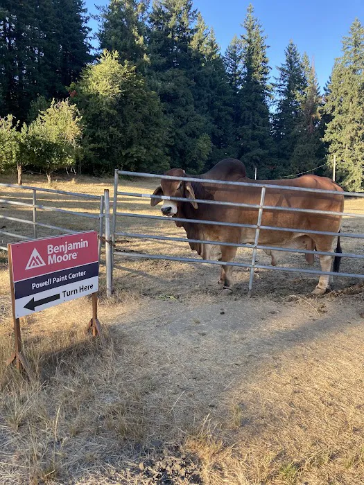 Sunrise Village, (HOME) In The Lower Park.. Picture 1