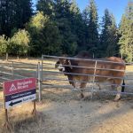 Sunrise Village, (HOME) In The Lower Park..