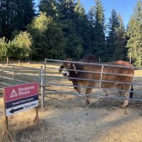 Sunrise Village, (HOME) In The Lower Park.. ico