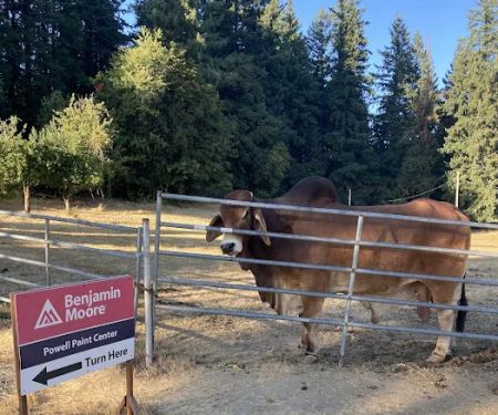 Sunrise Village, (HOME) In The Lower Park..