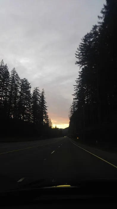 Ark RV Park Picture 3