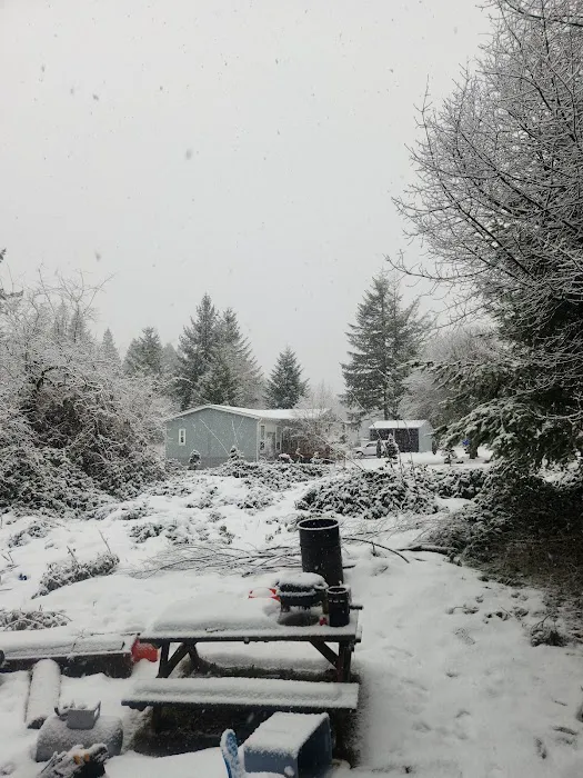 Ark RV Park Picture 1