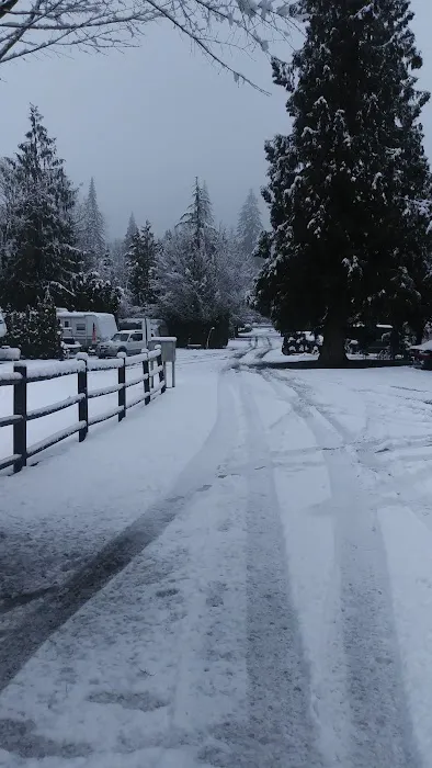 Ark RV Park Picture 2