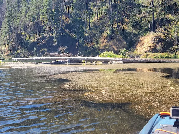 Clackamas River RV Park Picture 3