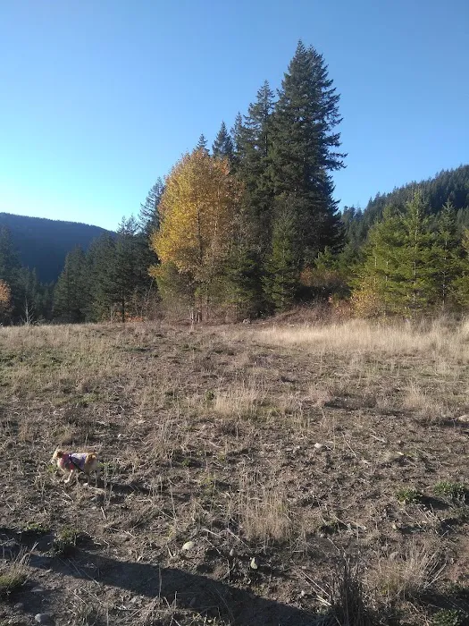 Clackamas River RV Park Picture 10