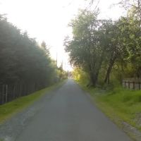 Royal Terrace Mobile Home Park ico
