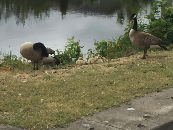 Johnson Mobile Estates Picture 1