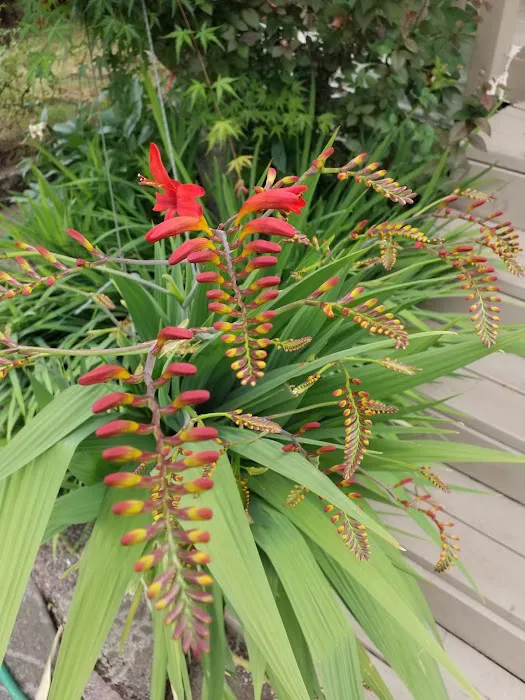 Johnson Mobile Estates Picture 5