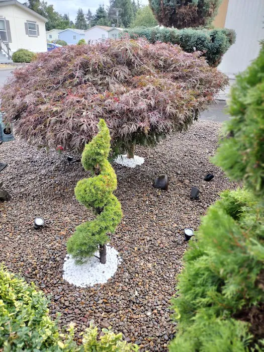 Johnson Mobile Estates Picture 4