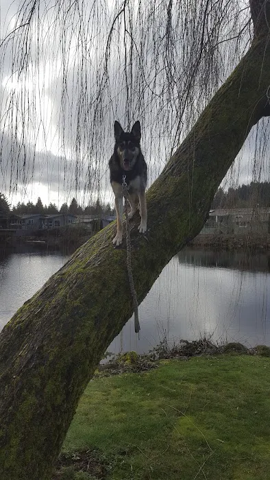 Johnson Mobile Estates Picture 9