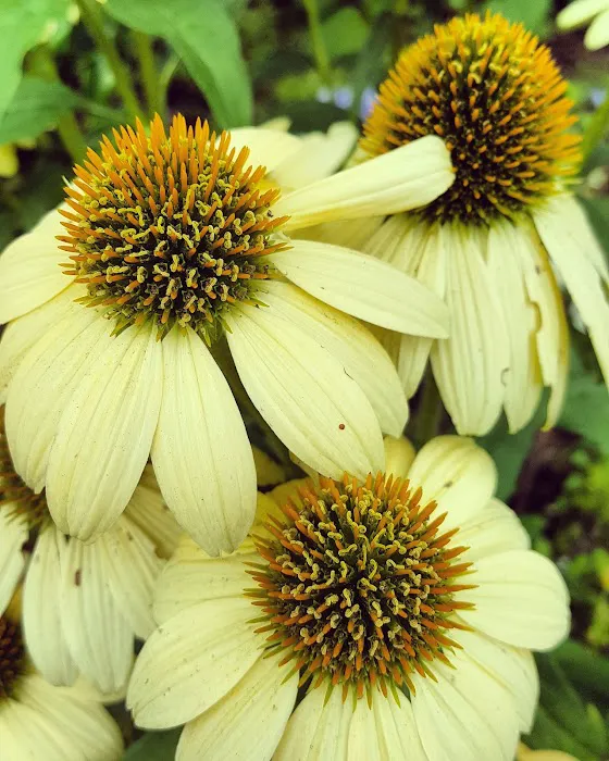 Johnson Mobile Estates Picture 10