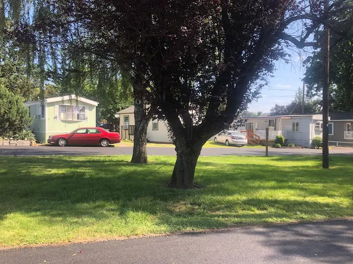 Frontier Urban Village Picture 5