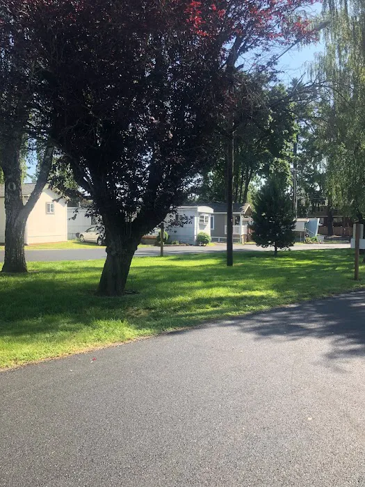 Frontier Urban Village Picture 6