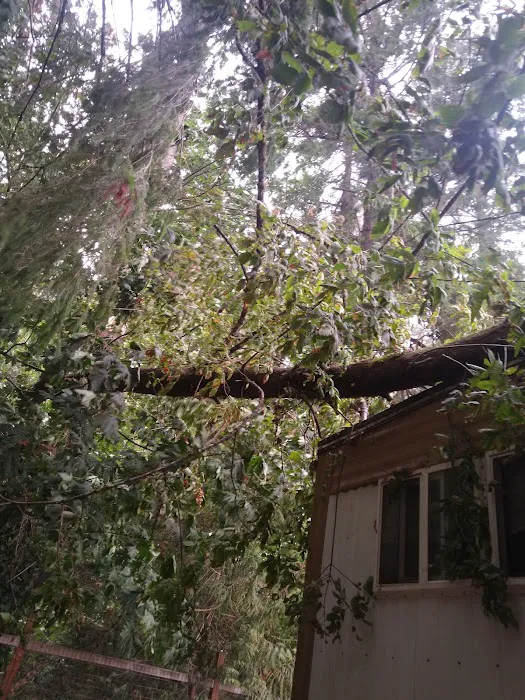 Gladstone Mobile Home Park Picture 2