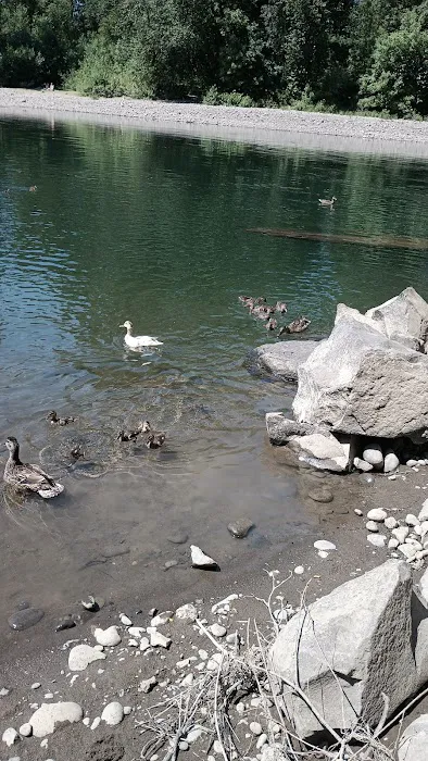 Clackamette RV Park Picture 8