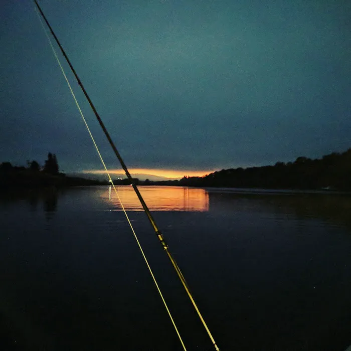 Stevens Moorage RV Park Camp Picture 1