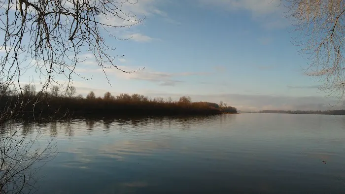 Stevens Moorage RV Park Camp Picture 6