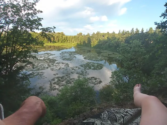 Crestwood Manufactured Home Picture 7