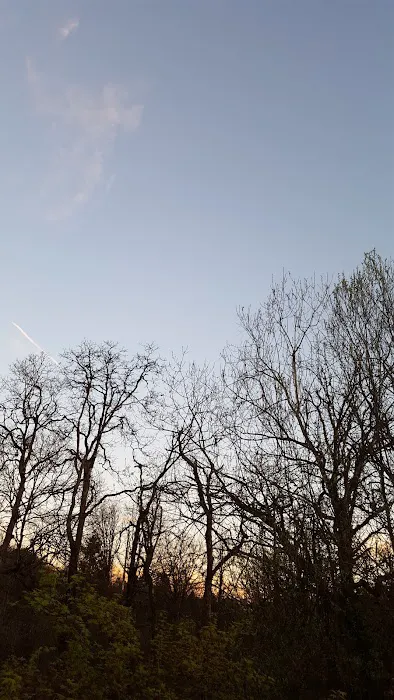 Crestwood Manufactured Home Picture 8