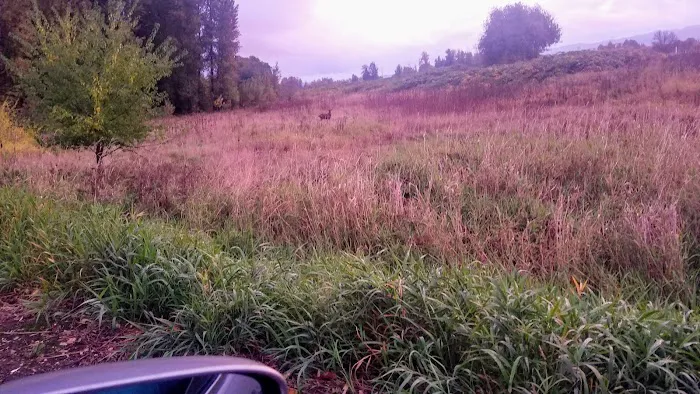 Crestwood Manufactured Home Picture 4