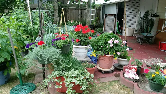 Oaks Mobile & RV Park Picture 5