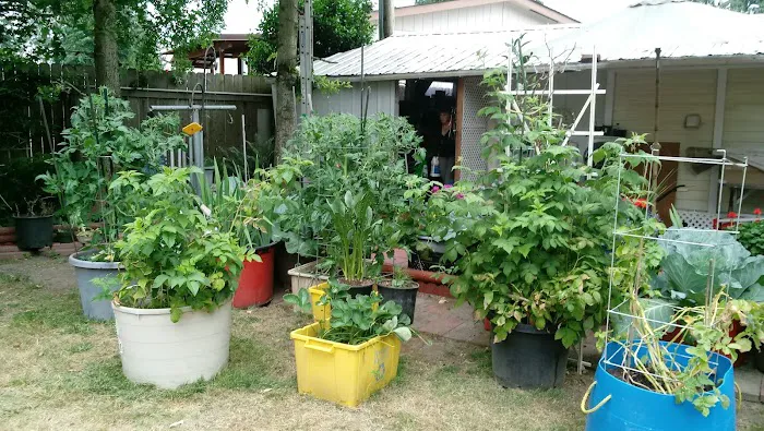 Oaks Mobile & RV Park Picture 9