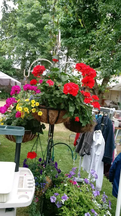 Oaks Mobile & RV Park Picture 8