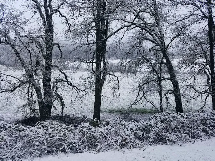 Deer island mobile home park Picture 3