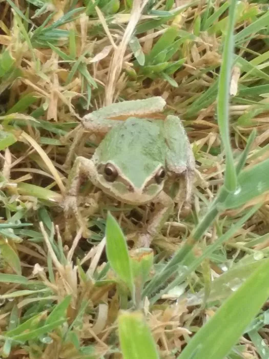 Woodland East Manufactured Community Picture 7