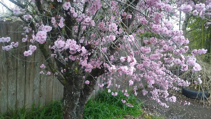 Woodland East Manufactured Community Picture 9