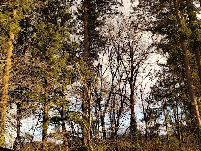 Riverbend Mobile Home Community Picture 4