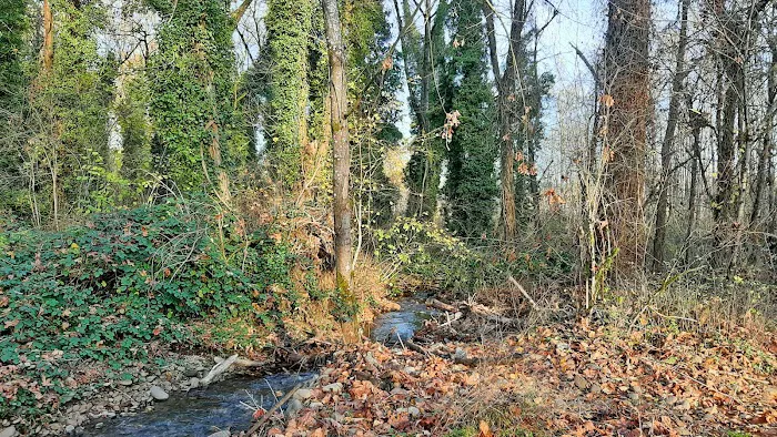 Clackamas River Community Cooperative (CRCC) Picture 2