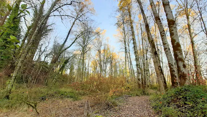 Clackamas River Community Cooperative (CRCC) Picture 4