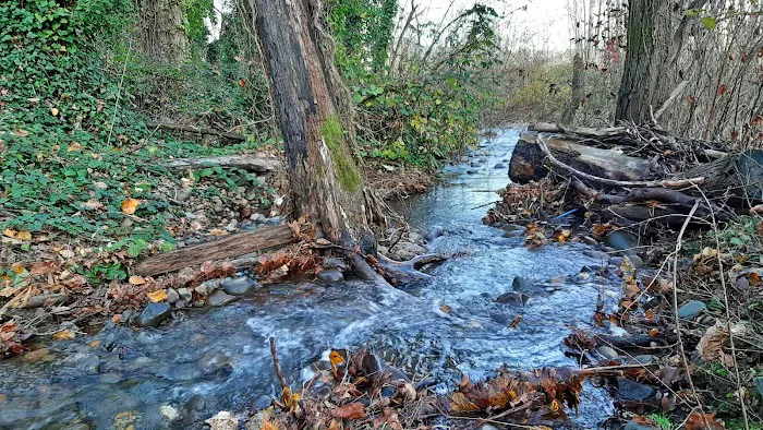 Clackamas River Community Cooperative (CRCC) Picture 3