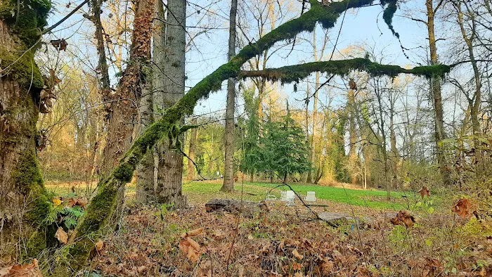 Clackamas River Community Cooperative (CRCC) Picture 6