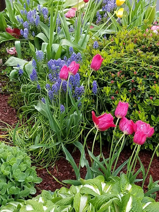 Shadowbrook Picture 3