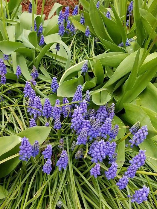 Shadowbrook Picture 2