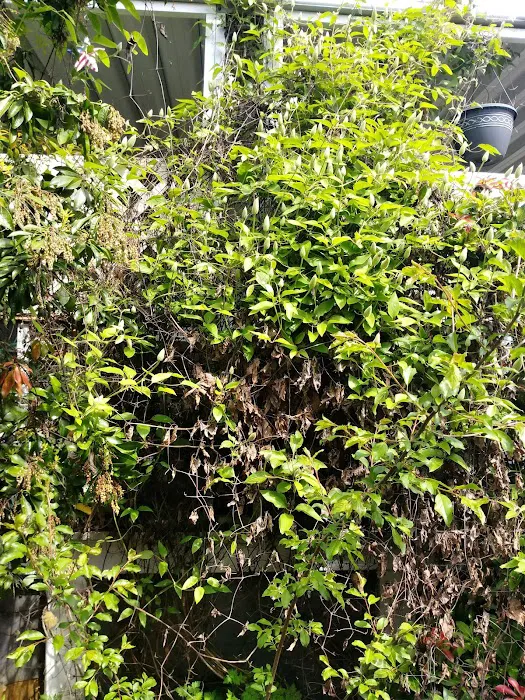 Shadowbrook Picture 4