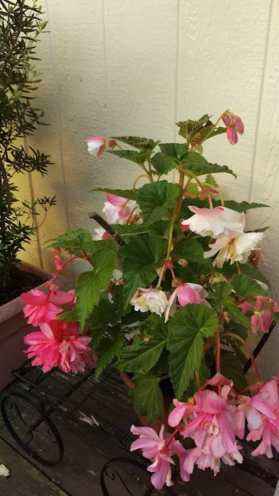 Indian Bluff Mobile Home Park Picture 1